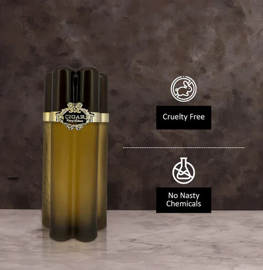 Lomani Cigar Eau de Toilette for Men - 100ml - view 2