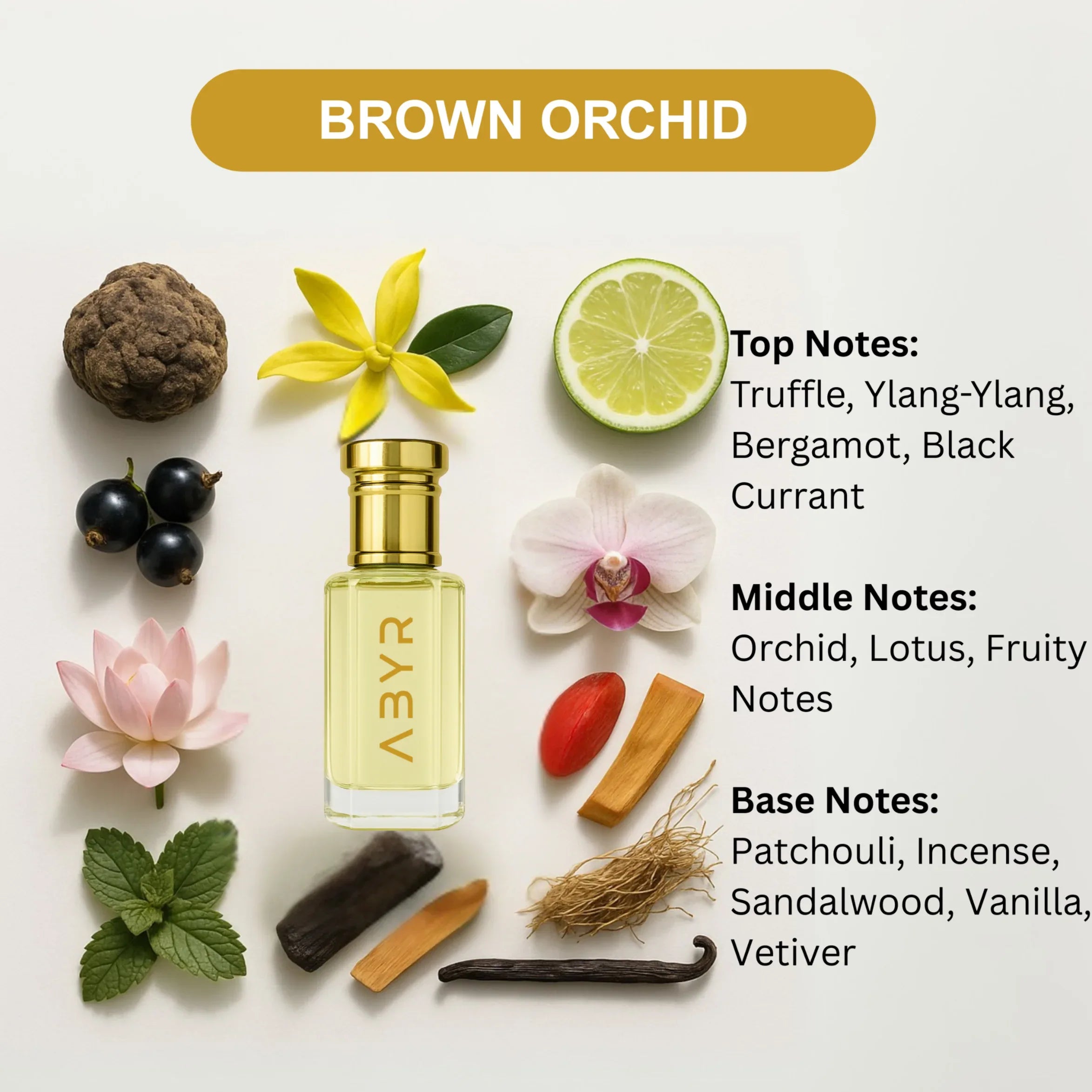 ABYR Brown Orchid Attar – Alcohol-Free, Long-Lasting Oriental Fragrance - 3ml view