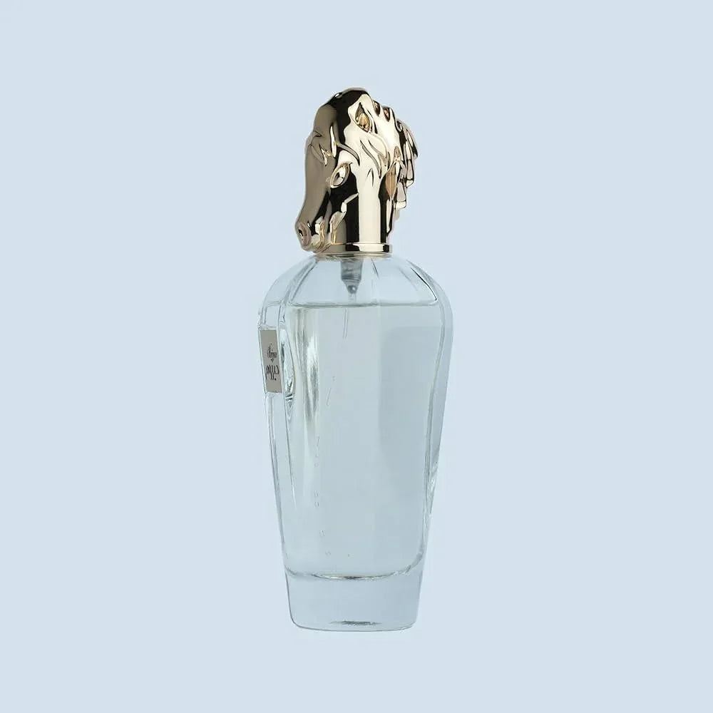 Otoori by My Perfumes Haizum Eau de Parfum 100ml for Men and Women - view 2