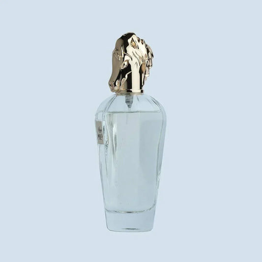 Otoori by My Perfumes Haizum Eau de Parfum 100ml for Men and Women - view 2