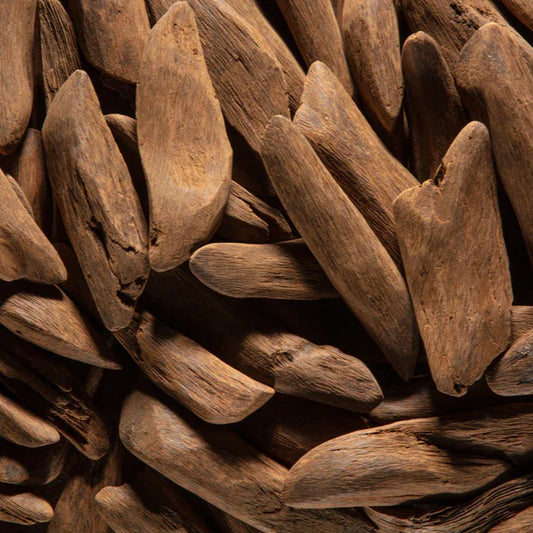 Merauke Oudh Chips - Fine Papua Agarwood, Small Slim Pieces with Natural Aroma - 50Gram view