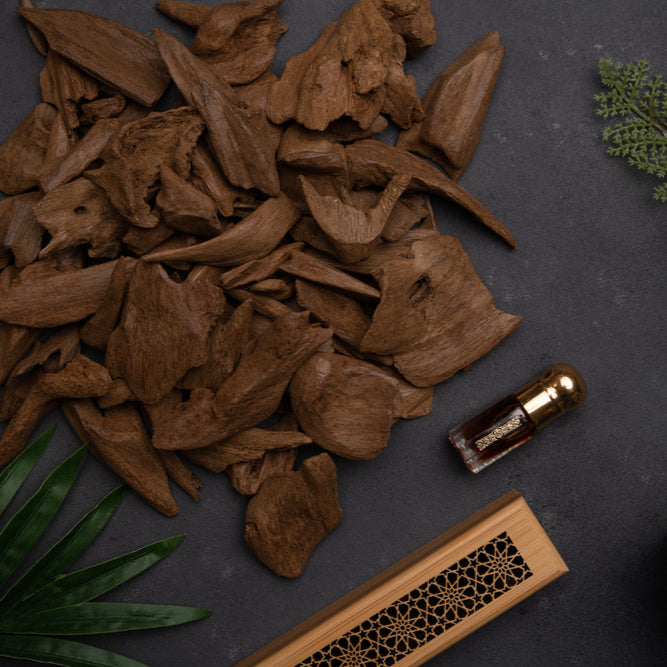 Natural Merauke Oudh Chips - Authentic Papua Agarwood, Distinctive Aroma - 100Gram view