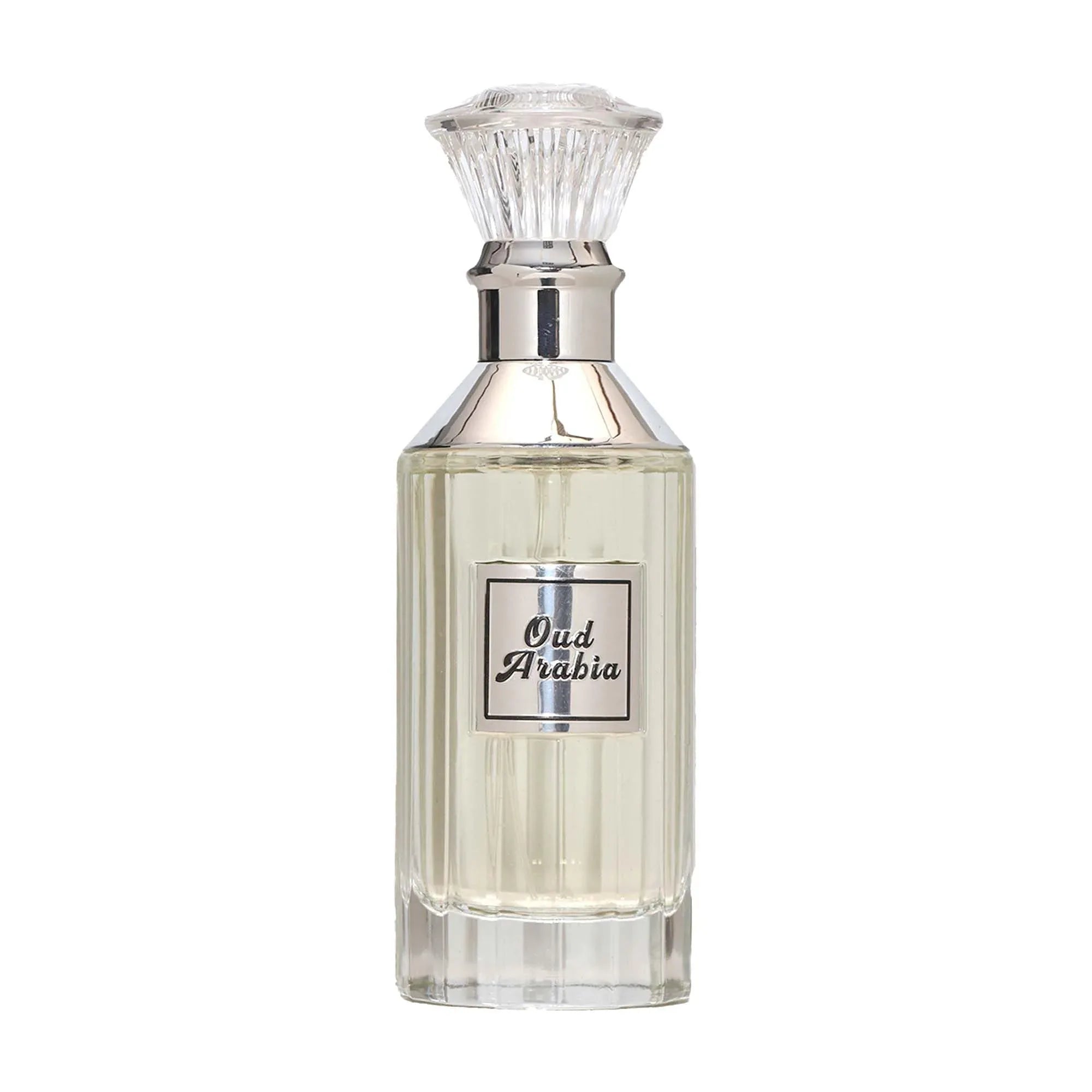 RAMCO Al Habibi Oud Arabia Silver Eau De Parfum 100ml - view 2