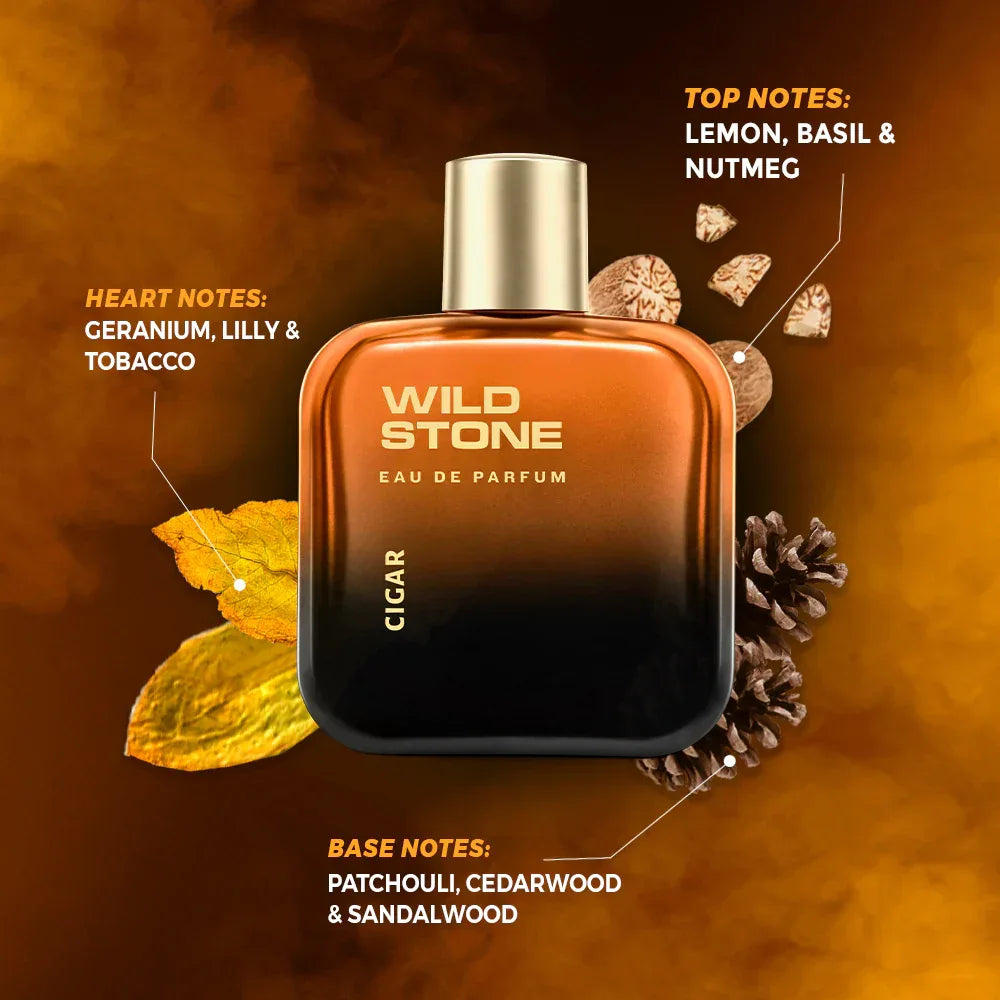 Wild Stone Cigar Eau De Parfum for Men, 100ml | Spicy and Woody Long-Lasting - view 2