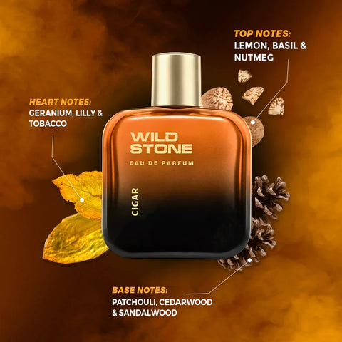 Wild Stone Cigar Eau De Parfum for Men, 100ml | Spicy and Woody Long-Lasting - view 2